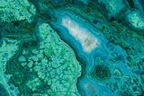 Brilliant Chrysocolla and Malachite Slice - Bagdad Mine, Arizona #383758-1